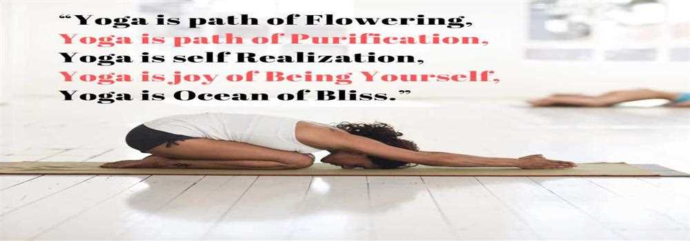 banner image of Rajendra yoga & wellness centre Rajendra yoga & wellness centre