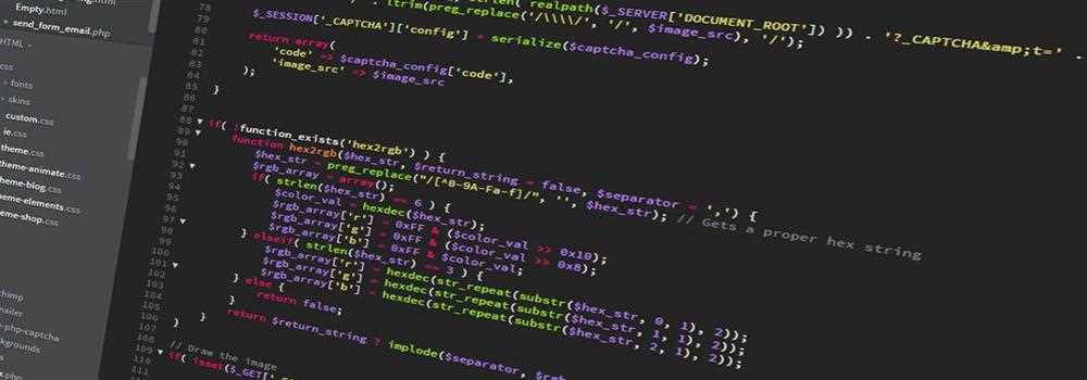 banner image of Cailley Rae