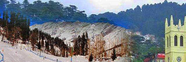 banner image of ravi tarvan