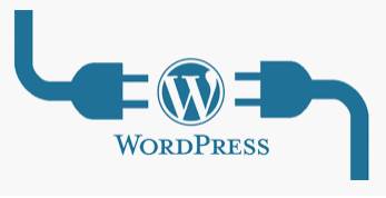 banner image of Wordpress India