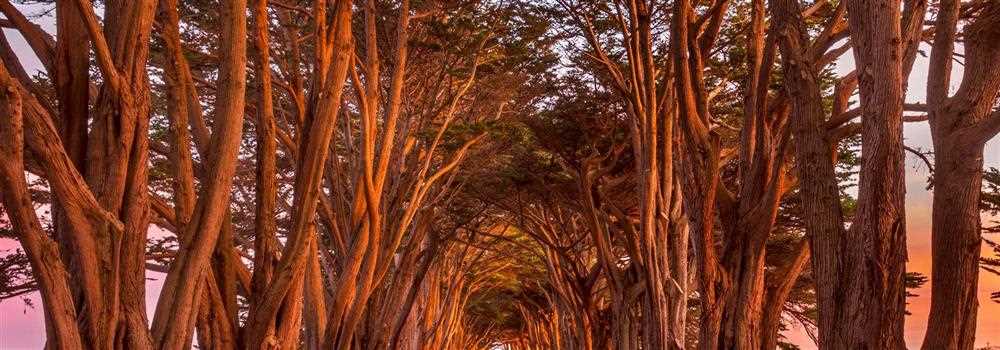 banner image of Digiitsolution Pvt Ltd ABCRNews