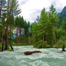 banner image of Rohim Ghulam