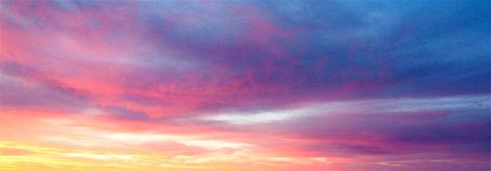 banner image of Anna Preston