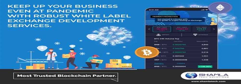 banner image of bruce hogans