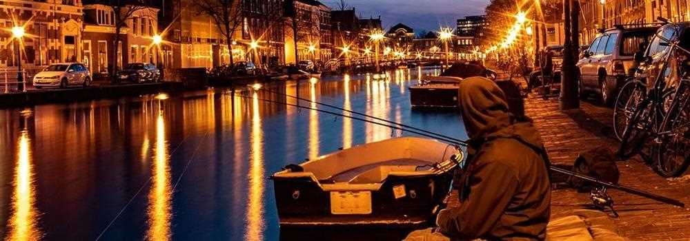 banner image of Nur MD