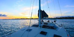 banner image of Boat Charter Rivera Maya Boat Charter Rivera Maya