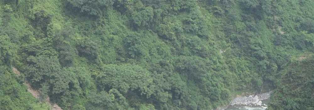 banner image of Jonathan Wells