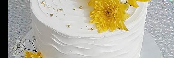 banner image of scripts bundle