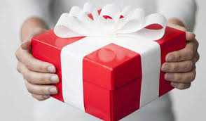 banner image of Alisha Singla