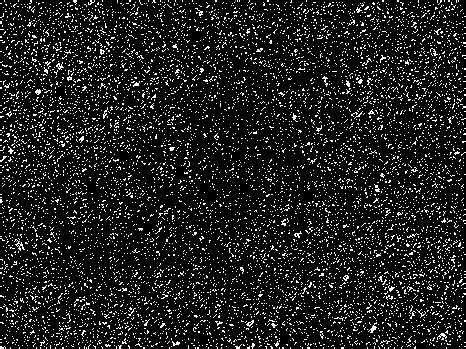 banner image of Maria Urban