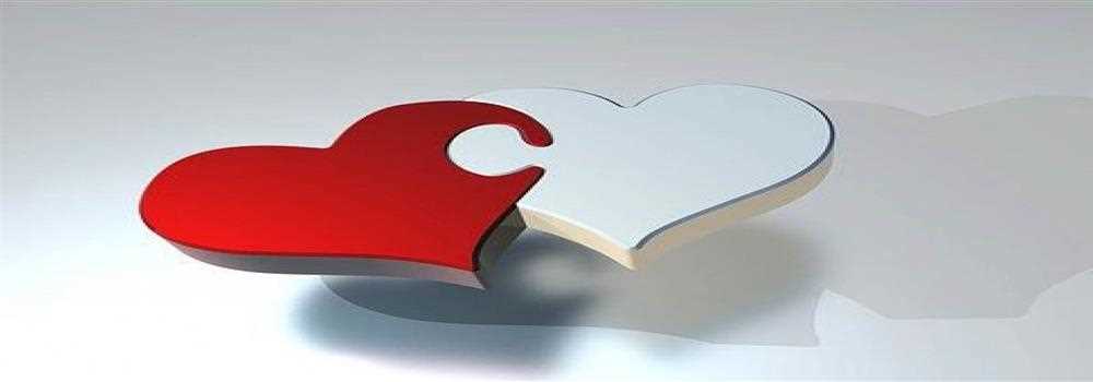 banner image of Mishelle 781