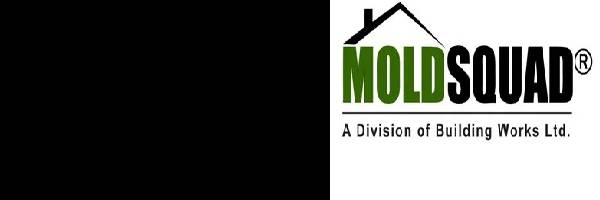 banner image of Mold Squad Mold Squad