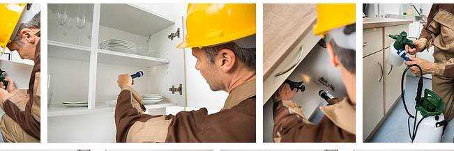 banner image of Natural Pest Control Melbourne Natural Pest Control Melbourne