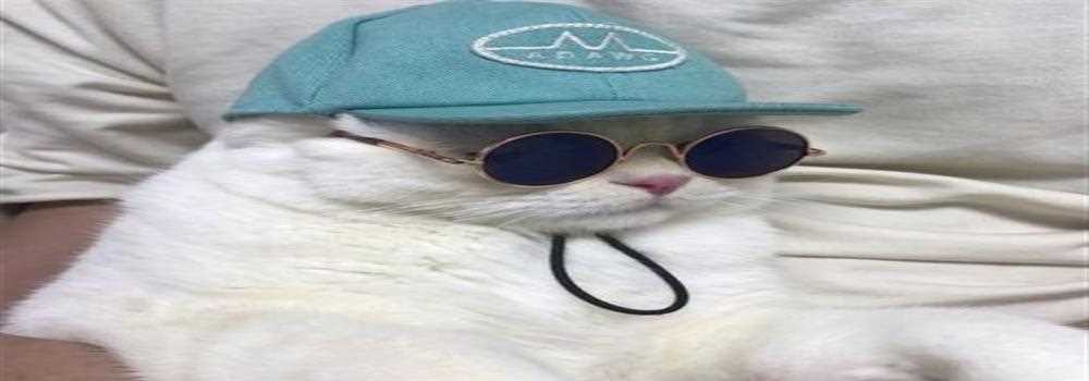 banner image of NFL Live Cast