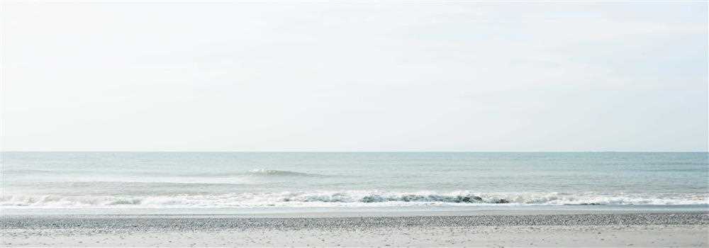 banner image of Natalie Wilson