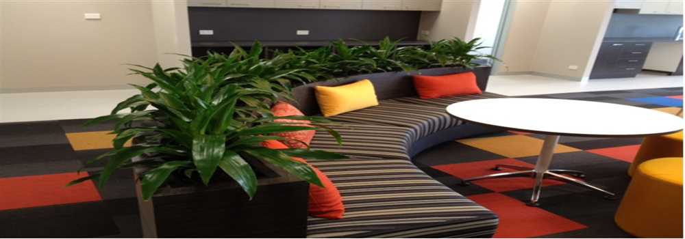 banner image of Inscape Indoor Plant Hire Inscape Indoor Plant Hire