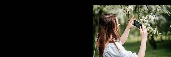 banner image of elizabeth navarro