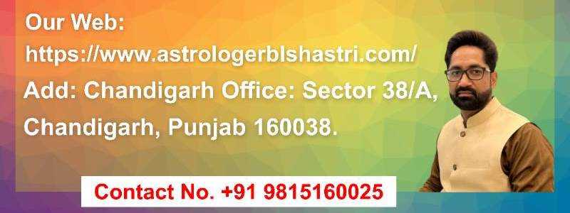 banner image of Astrologer bl Shastri