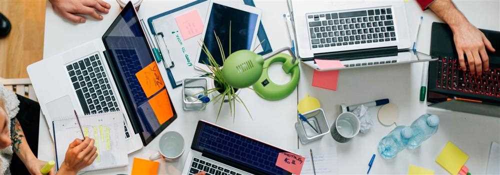 banner image of Phyllis Furey