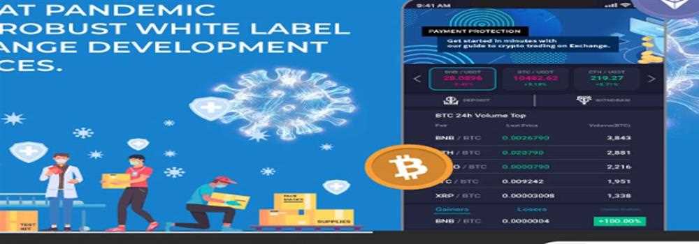 banner image of shamlatech shamlatech solutions