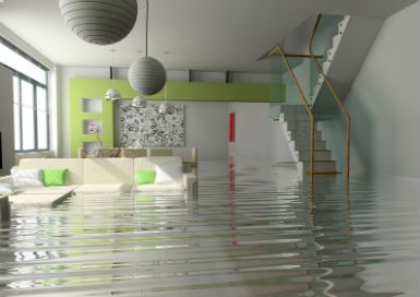 banner image of Cleaner Steamer Cleaner Steamer