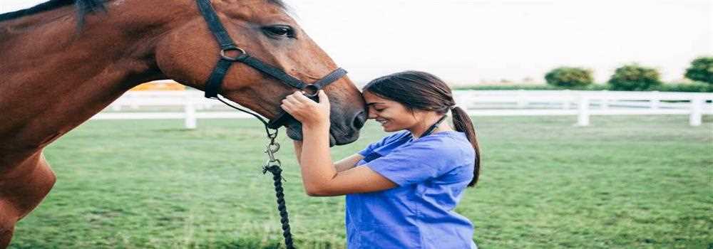 banner image of wiki chaudhry