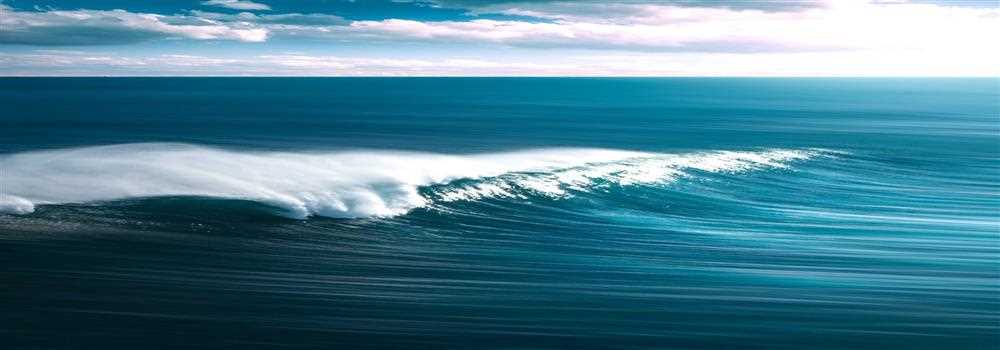 banner image of Ritesh Singh