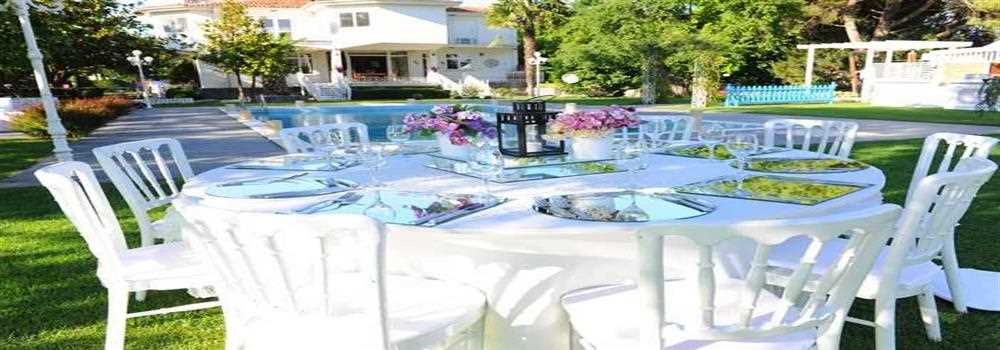 banner image of angelena britt