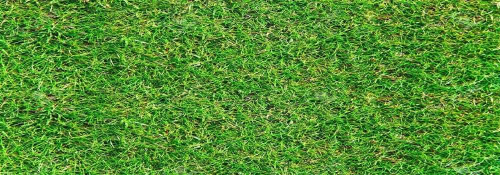 banner image of Richard Mathew