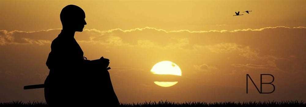 banner image of Chris Freeman