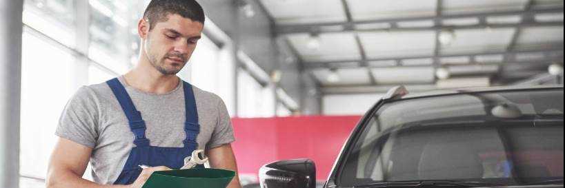 banner image of steve smith