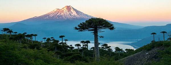 banner image of raj rajput