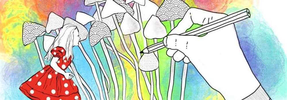 banner image of Purecybin Shrooms