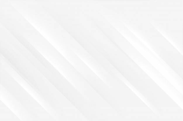 banner image of Sophia Taylor