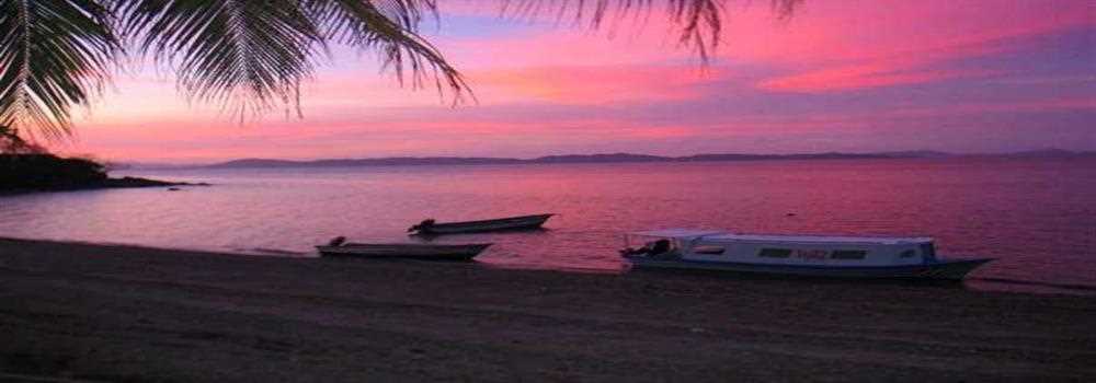 banner image of Suhana Chouhan