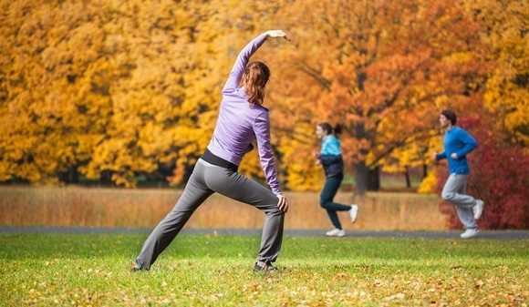 banner image of tips share