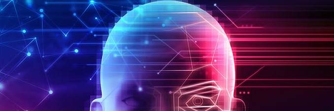 banner image of Robin Moore