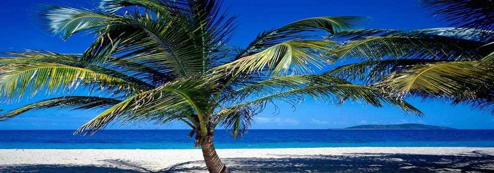 banner image of Tim Nollan