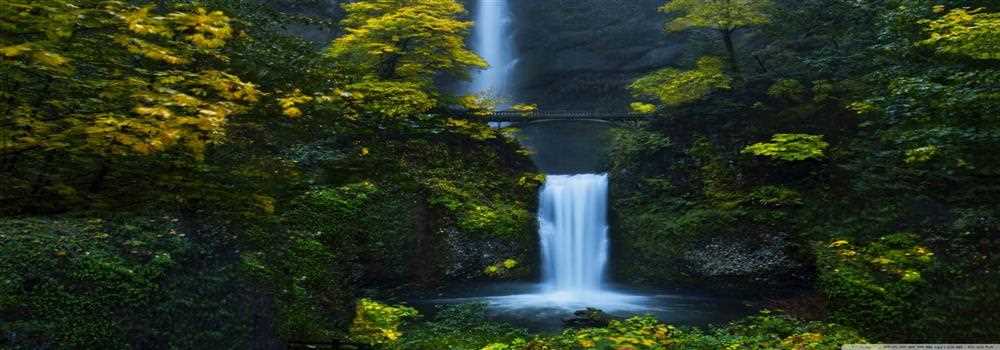 banner image of Abhijit Pandit