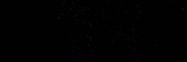 banner image of Shaik Arshad