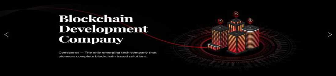 banner image of Codezeros 