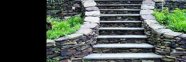 banner image of Stone Universe Inc 