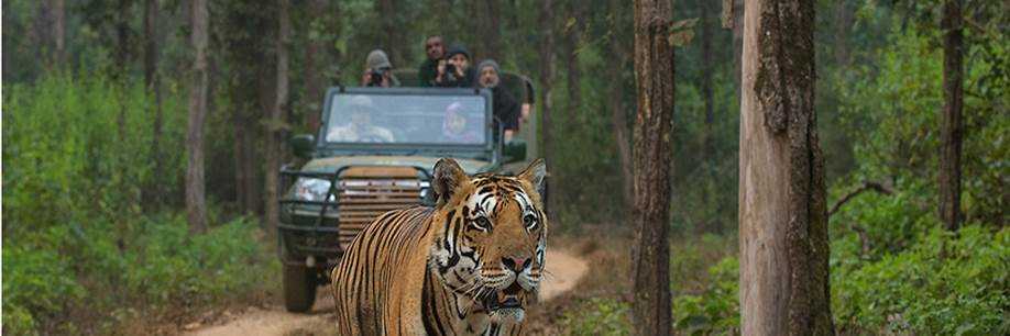 banner image of Deep Tew