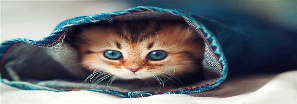 banner image of Michelle Jones