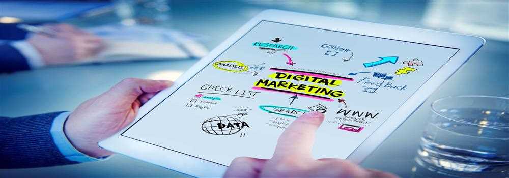 banner image of Peterson Stokes