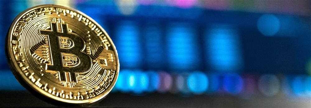 banner image of rachel carlson