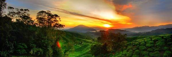 banner image of Alljobspo Jobs Search Engine 