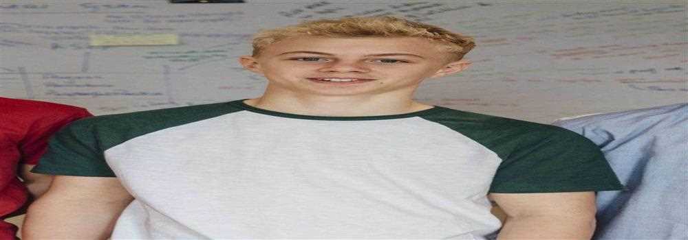 banner image of Rand mcnally gps update