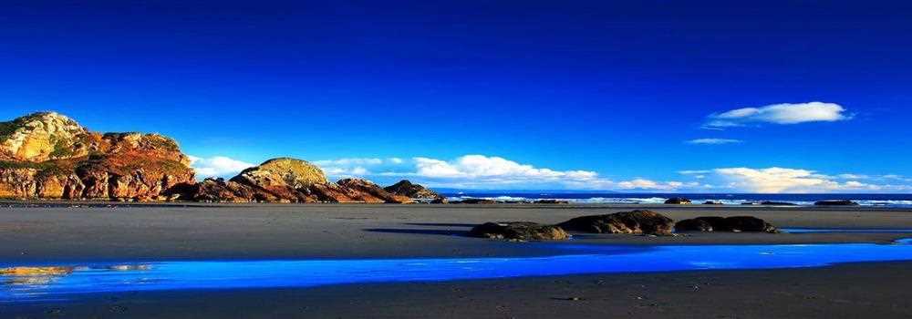 banner image of Akanksha Sri