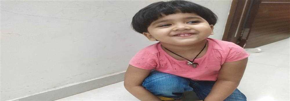 banner image of Interm Packers